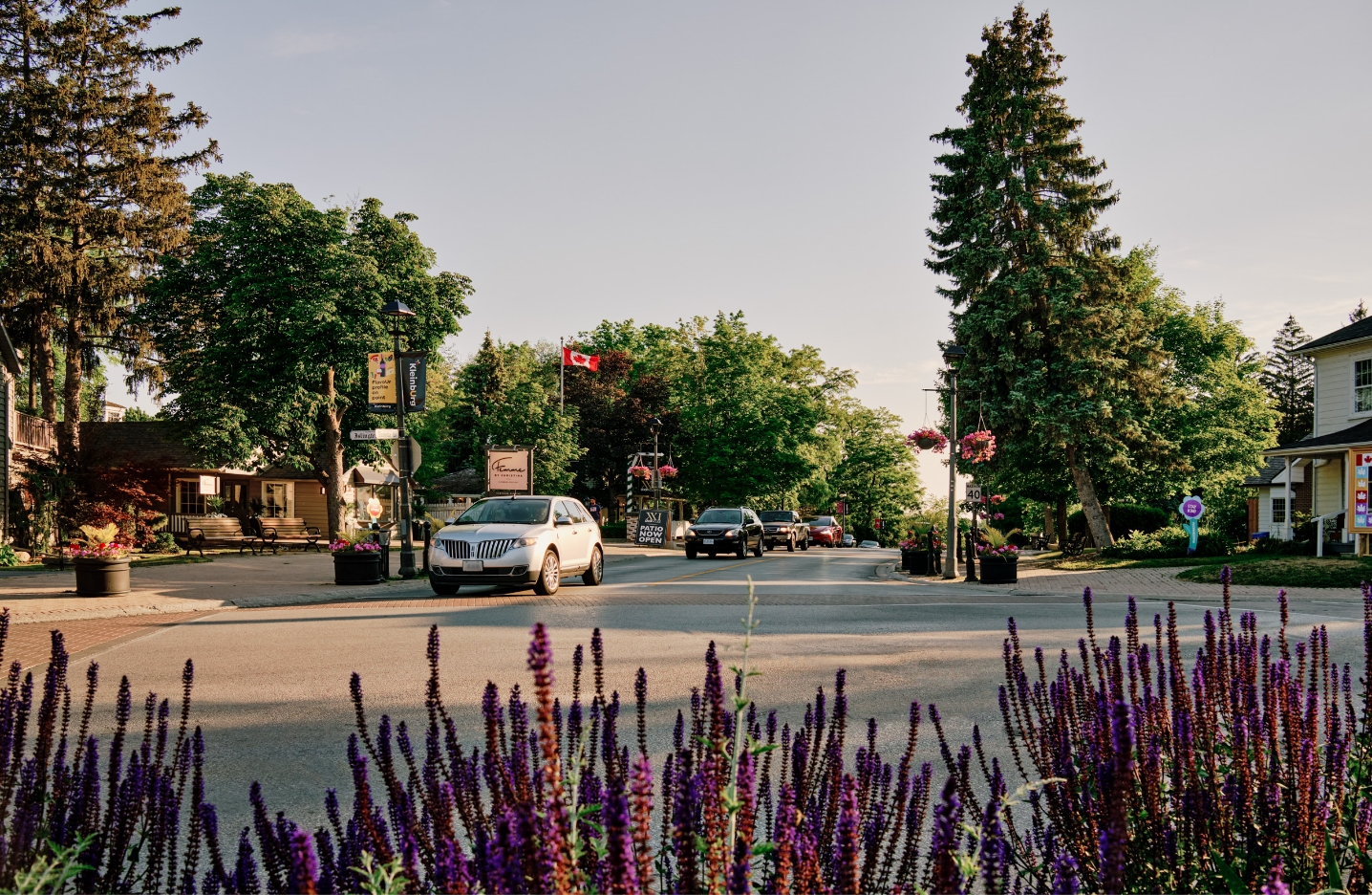 A main street showing a driving car, with flowers and trees along the road.