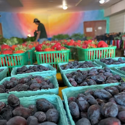 Image of baskets of berries at a farmers' market