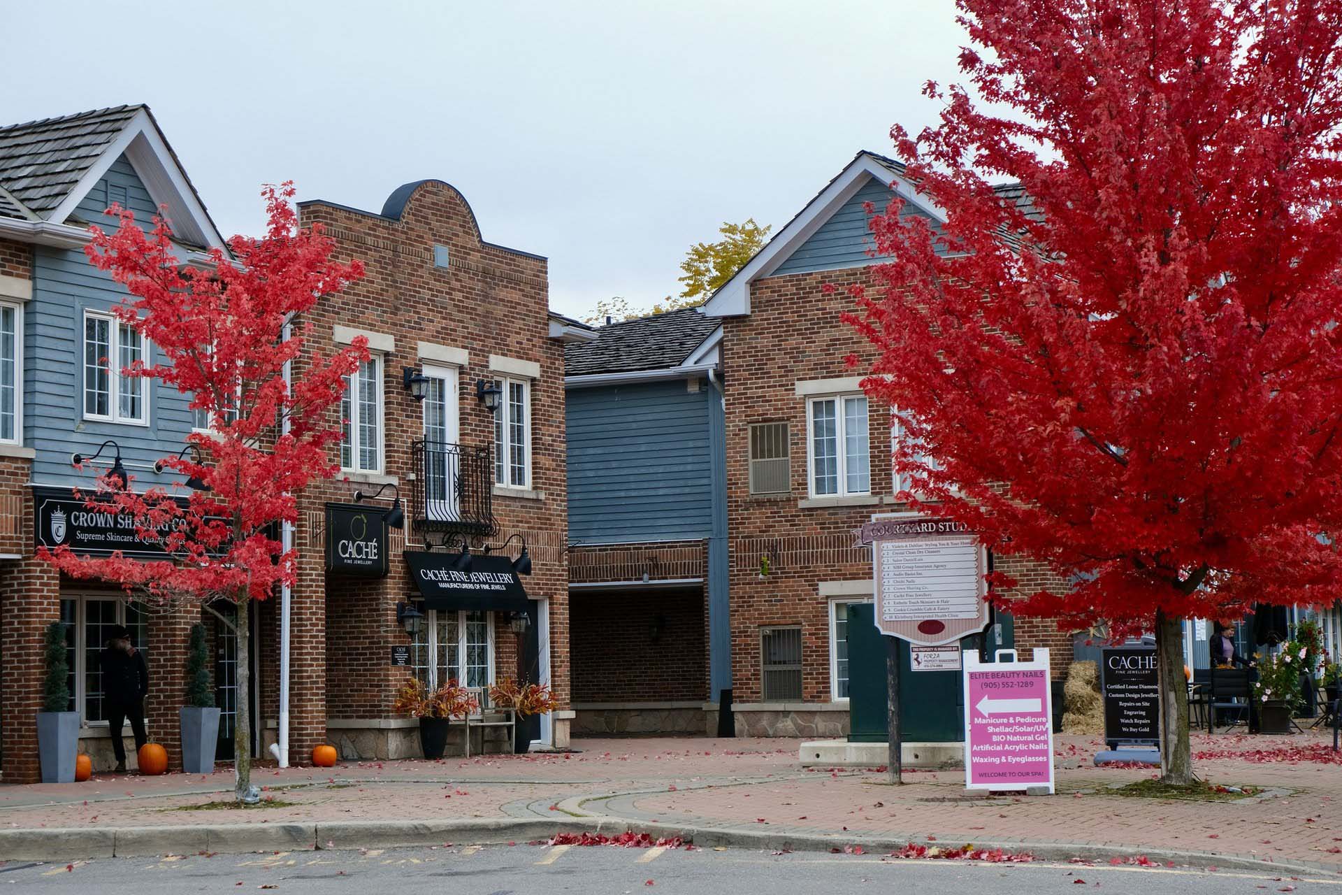 Beige brick storefronts with two trees with red leaves out front.