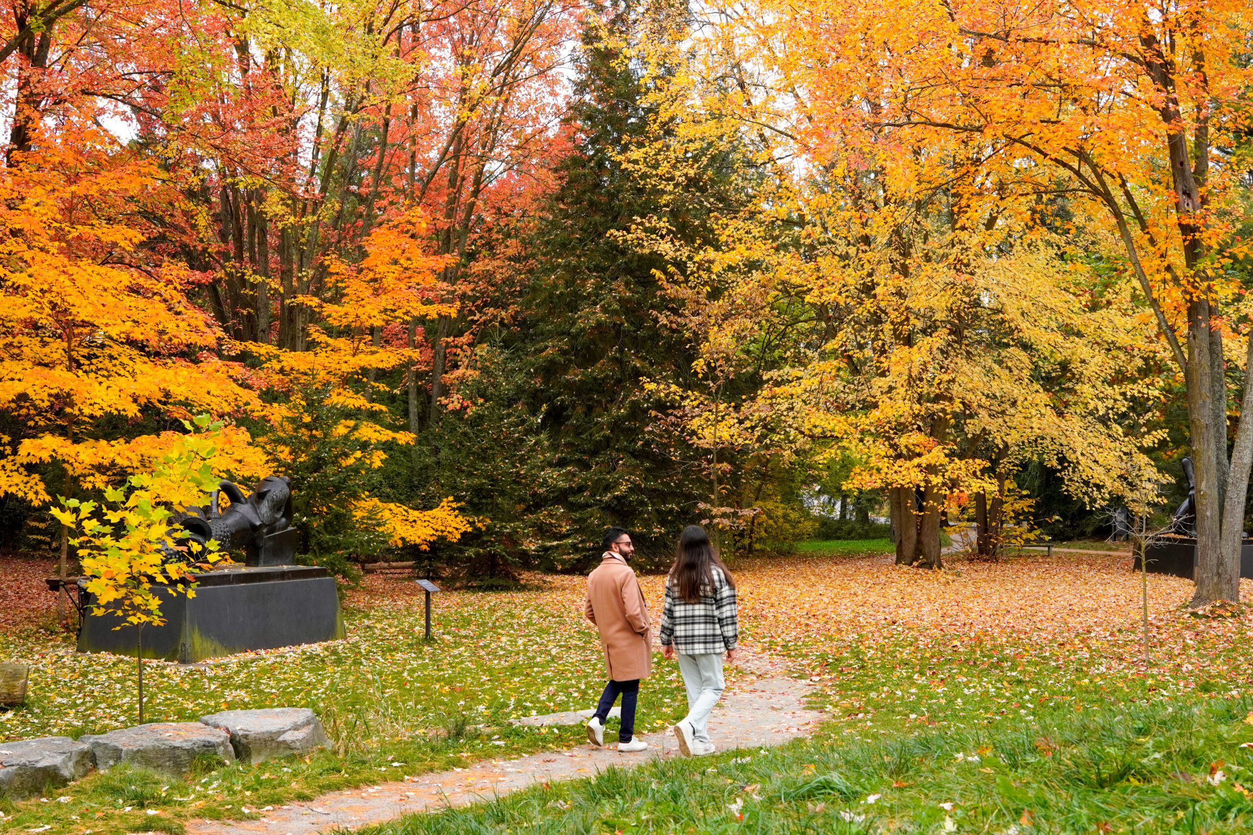 Two people walking on a trail with tall trees surrounding them, all with leaves of varying colours