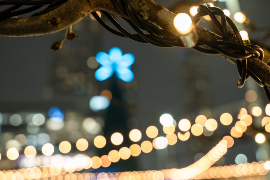 Where to see the festive lights in Vaughan