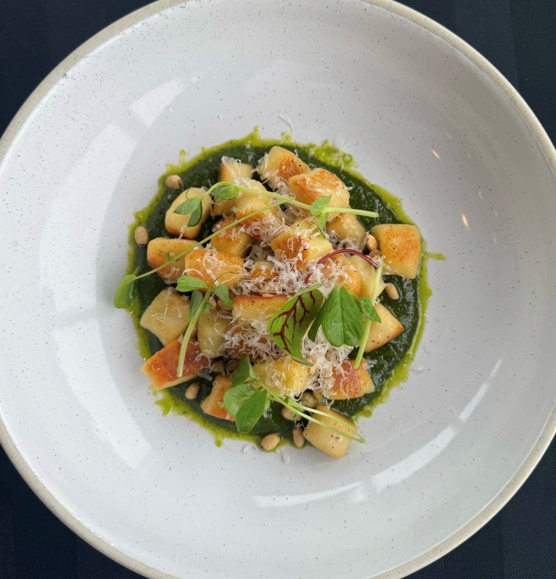 Image of a bowl of pasta sitting on a bed of a green sauce and garnished with cheese and herbs