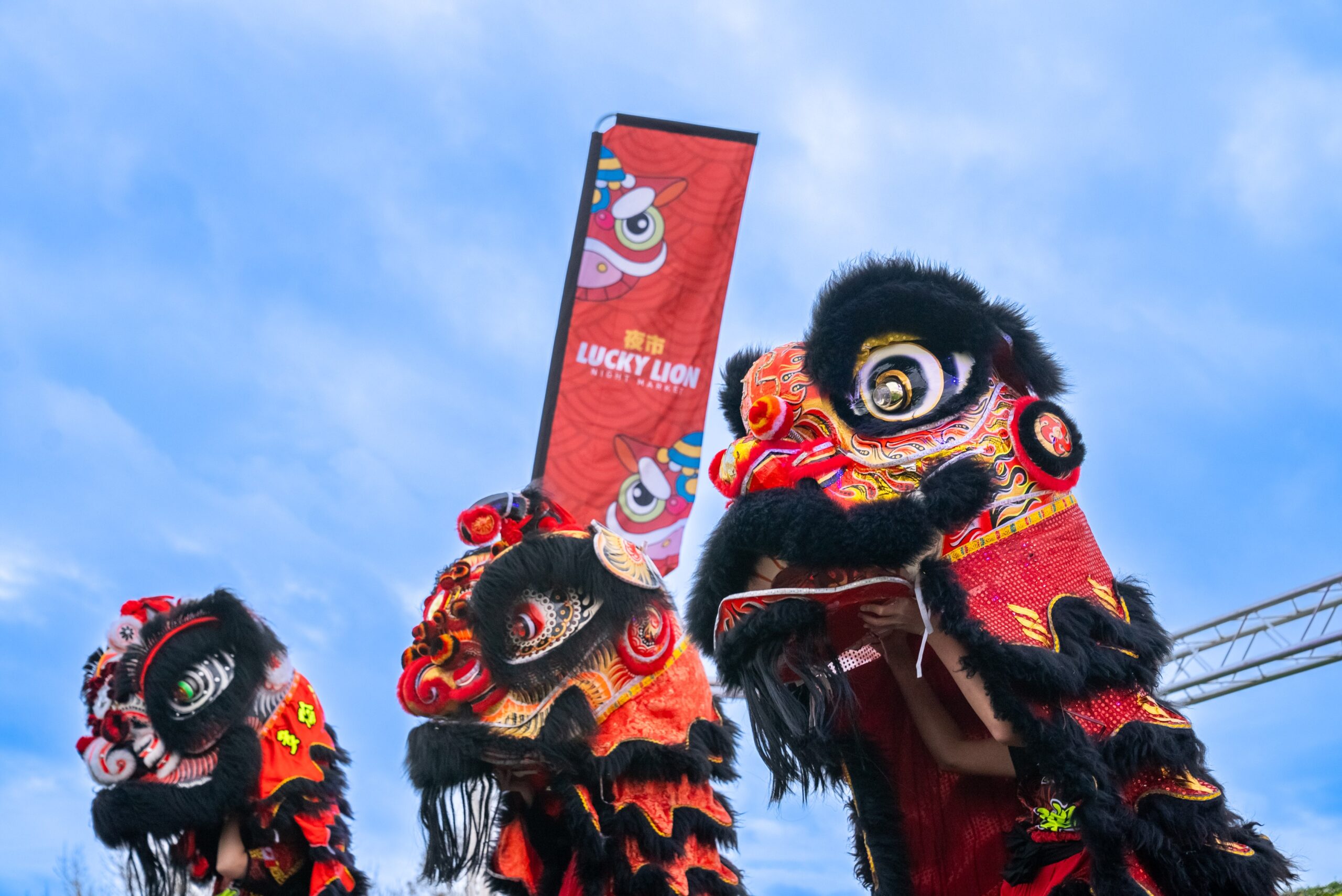Lucky lions dancing