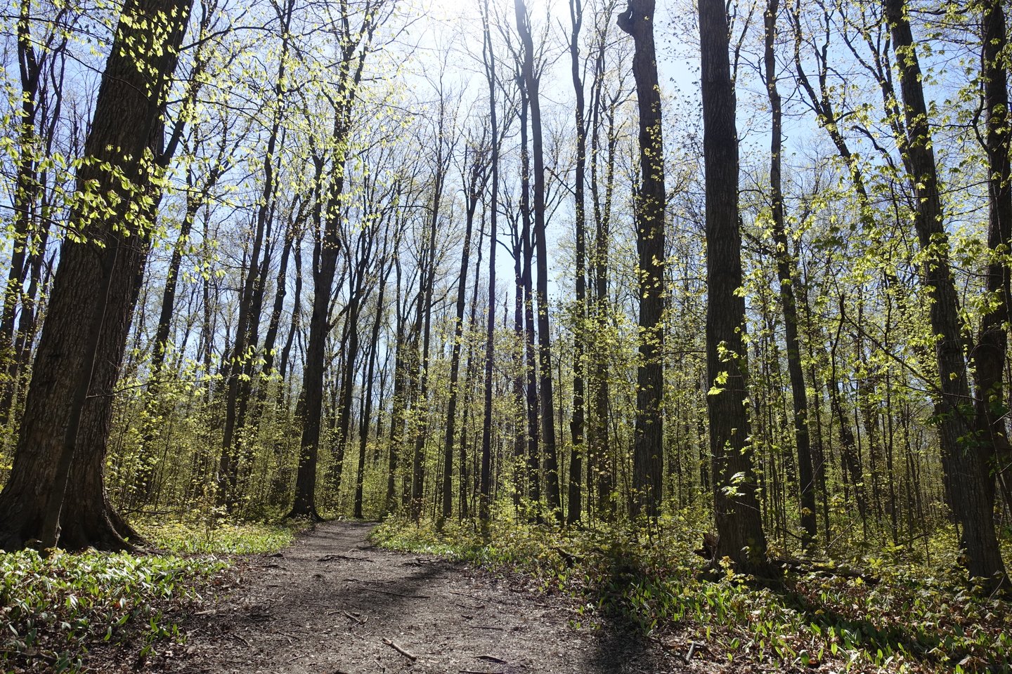 Sugarbush Heritage Park