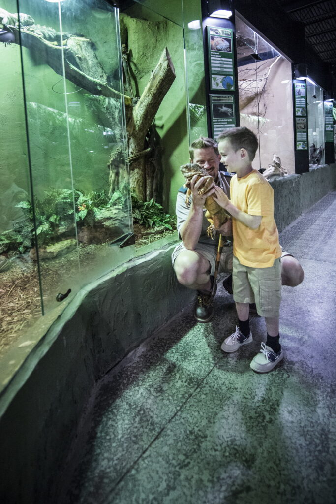 Helpful hacks for visiting Vaughan’s attractions