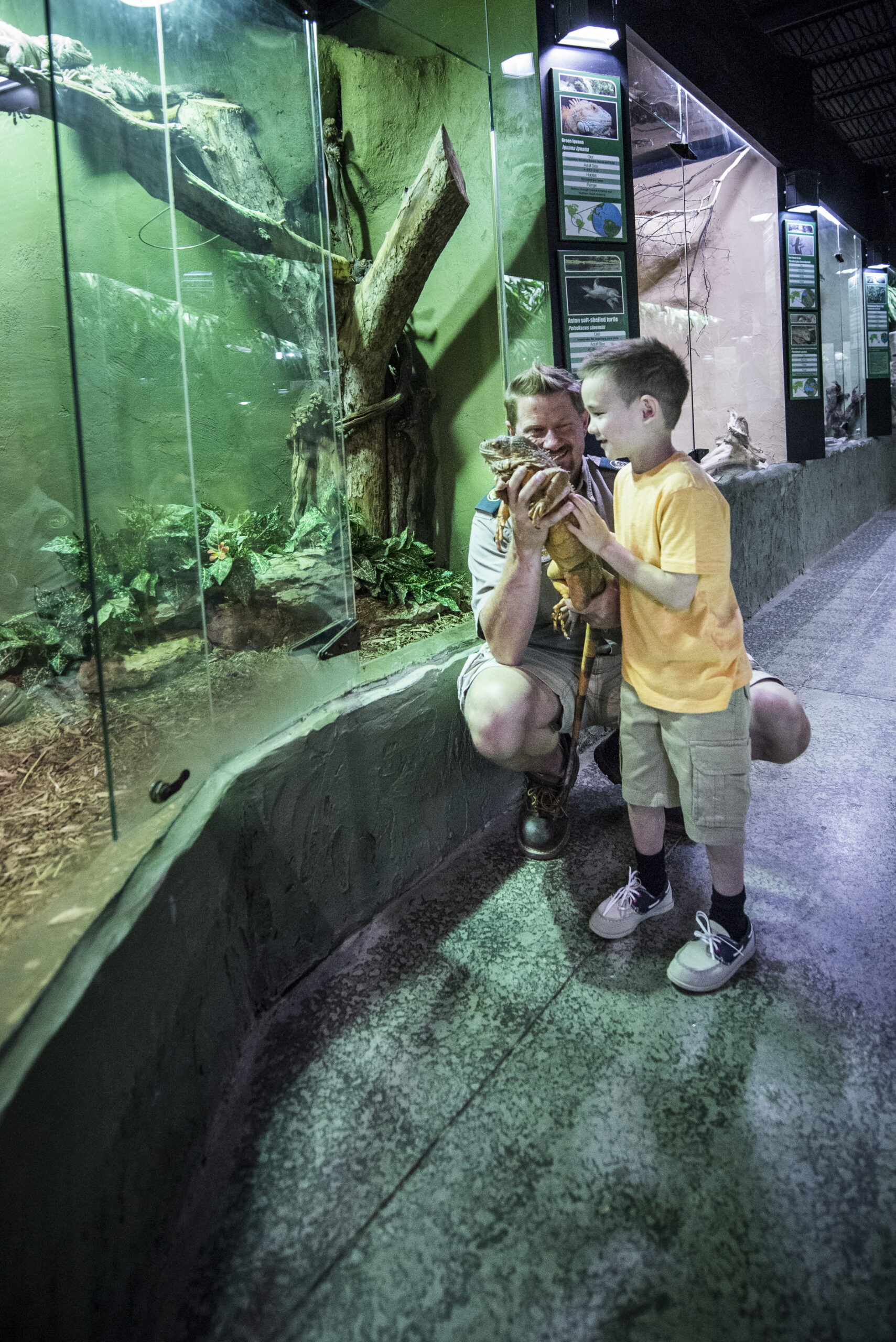 boy at reptile zoo