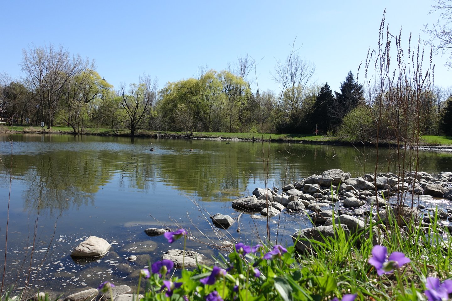 Marita Payne Park