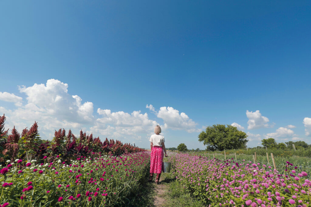 Vaughan bucket list spots to visit before summer ends!